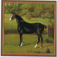 Гобелен Черная лошадь (настенный)