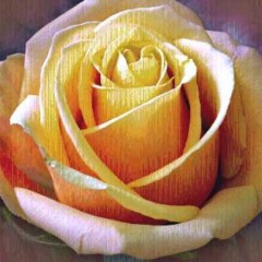 Гобелен Желтая роза - квадратный
